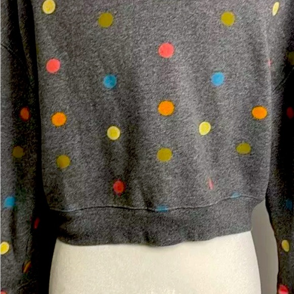 2023 DISNEY PARKS WONDERFUL WORLD OF COLOR SWEATSHIRT Large SEMI CROP NWOT - Picture 2 of 6